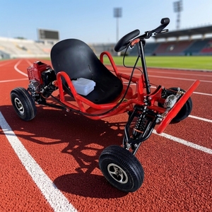 Go Kart Hidráulico con Motor BLDC de 750W y Eje de Transmisión para Adultos, 48V 20Ah, 70km/h, Uso en Exteriores, Rueda de 80cm, Carga de 200kg - Product Image 2