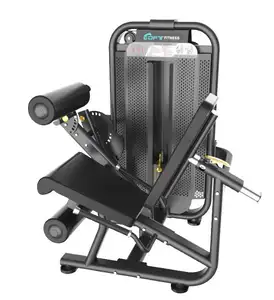 Machine-exercices professionnelle, fabricants chinois, boucles de jambes, Extension de jambes, nouvelle collection