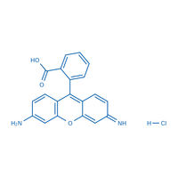 Poudre de colorant fluorescent de haute qualité CAS 13558-31-1 pour la production d'encre, de pigments, de traceurs et d'anti-contrefaçon