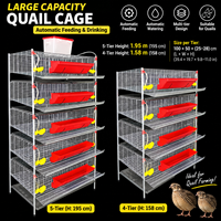 Nouvelle cage en treillis métallique galvanisé de type H avec système d'alimentation et d'abreuvement pour oiseaux (cailles) – Capacité 5 et 6 niveaux
