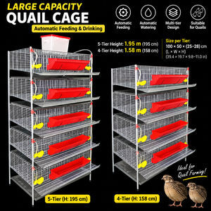 Nouvelle cage en treillis métallique galvanisé de type H avec système d'alimentation et d'abreuvement pour oiseaux (cailles) – Capacité 5 et 6 niveaux - Product Image 2