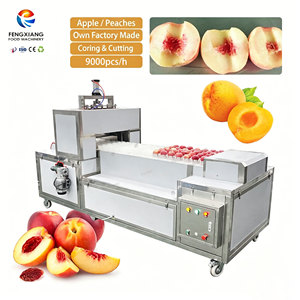 QH-T Green Jujube Apple Peach Pitting and Splitting <b>Machine</b> 9000pcs/h Food Grade <b>Stone</b> Fruit Coring <b>Cutting</b> <b>Machine</b> - Product Image 1