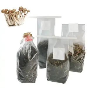 저렴한 비용 PP 투명 두꺼운 식물 버섯 필터 패치가있는 가방 성장