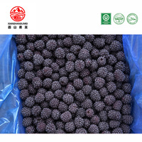 IQF Diepvries Hele Zwarte Bessen voor Smoothie Bowl, Bakkerij Jamproductie, Ongezoete Zwarte Bessen, 10kg