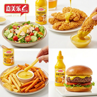 Sauce moutarde jaune en bouteille de 260g de Camill Wholesale pour salade, sandwich, burger, frites, sauce à tremper