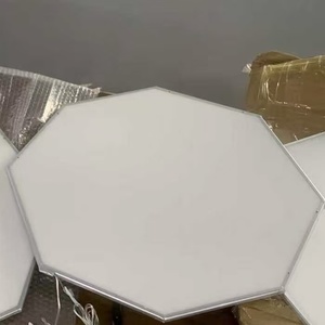 Placa de Guía de Luz LED con Forma de Diamante para Lámpara de Instalación Artística Poliédrica de Rina Tech - Product Image 2