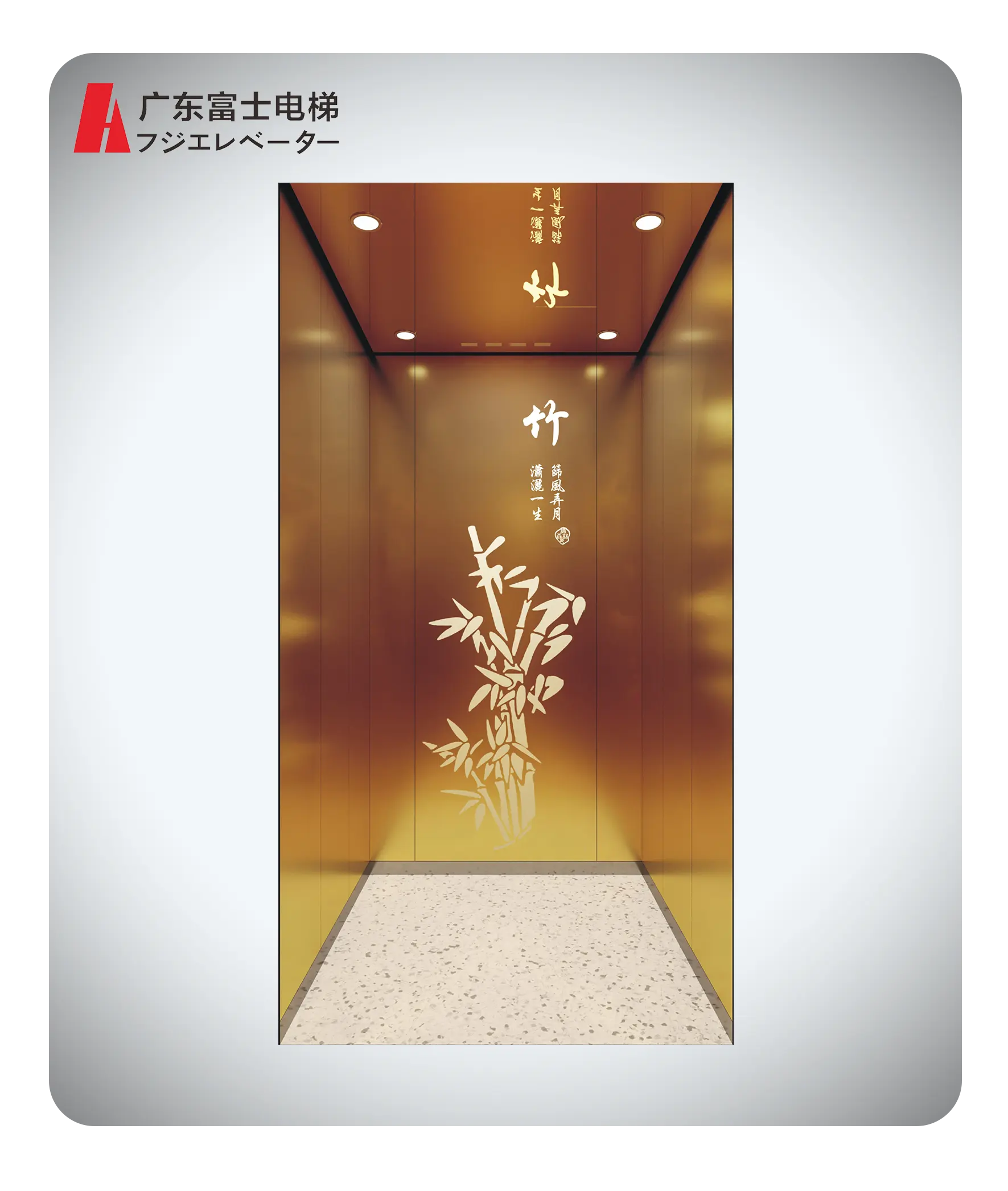 Commercial Passenger Elevator Stainless Steel Small Lift Passenger Elevator