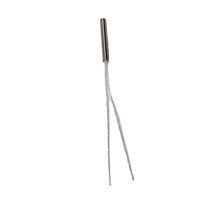 Sensor Suhu Resistor Termistor Platinum Miniatur Grosir PT100 Pt1000