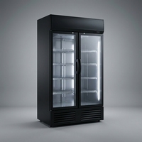 Enfriador de Bebidas de Doble Puerta de Vidrio de 680L, Refrigerador Comercial Sin Escarcha, Exhibidor Vertical, Refrigerador de Bebidas al por Mayor