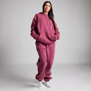 Conjunto de Sudadera con Capucha y Pantalones para Mujer, Color Sólido, Estilo Urbano, Dos Piezas, para Otoño e Invierno, Dropshipping Shopify - Product Image 2
