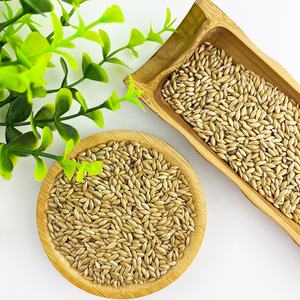Canary Seeds-Canary Seeds Benefits For Birds // Alpiste Canery Seed Powder For Diabetes // Bulk PET Feed - Product Image 6