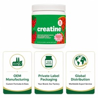 Créatine monohydrate 3g Extrait de pissenlit et de canneberge Saveur fraise et pastèque 255g Complément alimentaire pour la force musculaire