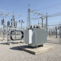Transformateur de puissance immergé dans l'huile triphasé extérieur S22-M conforme à la norme IEC