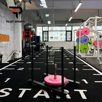 PilotSports – Tapis d'entraînement fonctionnel personnalisé OEM pour gym, en PE, avec motif imprimé sur mesure, pour fitness intérieur, gazon artificiel