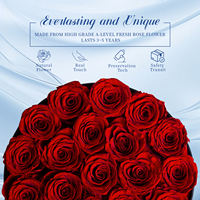 MCFloral Red Handmade Christmas Decors Stabilisierte natürliche Rose Eterne lle Unsterbliche konservierte Blumen in runder Schachtel