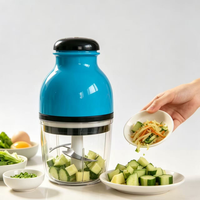 Robot culinaire électrique portable en acier inoxydable, mini-mixeur, hachoir à viande multifonctionnel, populaire pour le barbecue, 250W