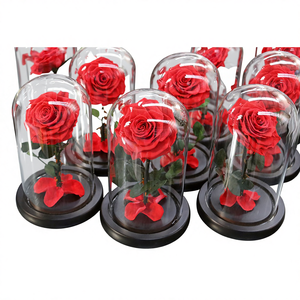 Roses éternelles personnalisées en gros pour la Fête des Mères et la Saint-Valentin, avec dôme en verre à longue tige, modèle Belle Enchanted - Product Image 2