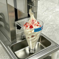 Machine à crème glacée en acier inoxydable pour usage quotidien, mixeur à crème glacée dure électrique commercial 750W avec cornet