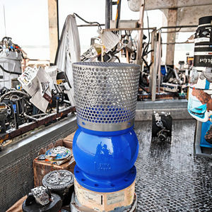 שסתום רגל ברזל רקיע גבוה עם מסננת נירוסטה - Product Image 5