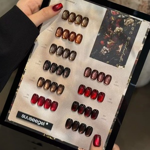 Factory Customized Wholesale New cat Eye <b>Nail</b> Polish <b>Set</b> 10 Color Small Series Environmental protection Tasteless Plant <b>Nail</b> <b>Gel</b> - Product Image 4