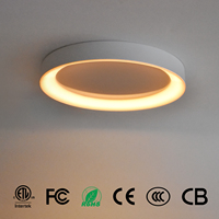 Plafonnier encastré OEM personnalisé de 12 pouces 20W 2700K-6000K avec veilleuses, intensité réglable, idéal pour cuisine, salon, chambre à coucher