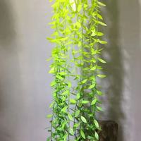 Fleurs Artificielles de Saule Pleureur, Feuillage Synthétique en Plastique à Suspendre pour DIY, Décorations de Mariage et du Nouvel An Chinois