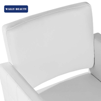 Wallybeauty Équipement de coiffure Mobilier de salon Chaise de coiffure noire Chaise de coiffure classique pour salon