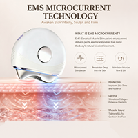 Appareil de beauté électrique chaud et froid personnalisé, best-seller, pour raffermissement de la peau, Gua Sha, grattoir facial, masseur liftant visage et cou