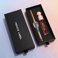 Cosmétiques Maquillage 2 en 1 Rouge à Lèvres Brillant à Lèvres Crayon à Lèvres Kit Vegan Marque Privée Haute Qualité Ensemble Lèvres Vente en Gros