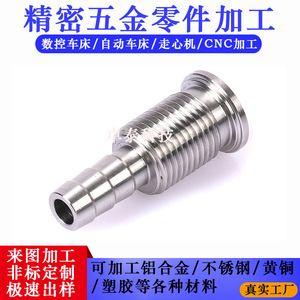 Pièces usinées en acier inoxydable, composants tournés de précision sur tour CNC, fabriqués sur mesure à partir de dessins ou d'échantillons, diamètre maximal 46 mm - Product Image 4