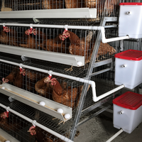 Système d'élevage de poulets en batterie résistant à la corrosion pour 3 poulets - Équipement avicole pour ferme avicole