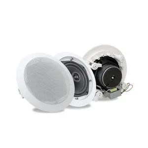 Professional audio High-fidelity IP public address speaker system wall ceiling speaker