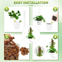 Bâtons de croissance pour plantes de jardin d'intérieur, piquets de soutien pour Monstera Plastic Moss Pole, 24 pouces, 16 pouces