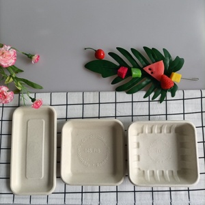 Plateau alimentaire de canne à sucre jetable biodégradable Descartable Platos Desechables écologique pour les occasions de fête - Product Image 1