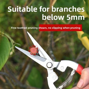 Kéo hái trái cây kéo cắt tỉa Hoa nhẹ dụng cụ thu hoạch vườn Phụ Kiện Làm Vườn cầm tay bền sắc nét - Product Image 3