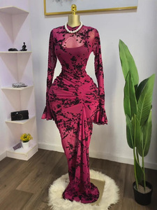 Ensemble robe longue en maille transparente 2 pièces pour femme, robe moulante à manches longues à imprimé floral avec fronces, tendance - Product Image 5