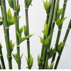 Artificial Lucky Bamboo Plant Decorative Flower Indoor Greenery High Simulation Leaves Plastic Wire Arrangement Accessory - Product Image 3