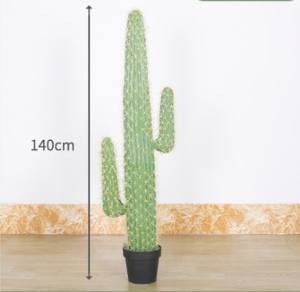 Plante tropicale Aménagement paysager PU Pole <span class=keywords><strong>Cactus</strong></span> <span class=keywords><strong>Colonne</strong></span> Rempotage Grande Simulation <span class=keywords><strong>Cactus</strong></span> Plantes du désert - Product Image 6