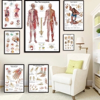 Póster de arte moderno para decoración de dormitorio, mapa del cuerpo, imágenes de pared para ciencia médica