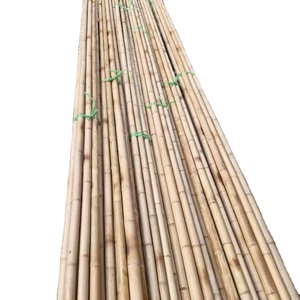 Estacas de Bambú Agrícolas Resistentes, Varillas de Soporte de Bambú Natural para Jardín, Uso en Viveros y Granjas - Product Image 1