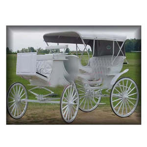 Carruaje Cubierto con Caballos para Bodas Reales - Transporte de Lujo para Eventos, Profesional, Moderno, Clásico, de Acero y Madera, Tamaño Personalizable - Product Image 1