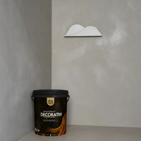 Validea Marmorino Plâtre Vénitien Minéral Moyen-Fin |   Peinture murale intérieure liquide mate à base de chaux micro-ciment