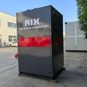 Endüstriyel kullanım için 500 kg küçük su tüpü buhar jeneratörü gaz yakıt dikey tarzı düşük basınç laboratuvar fabrika için yeni - Product Image 2