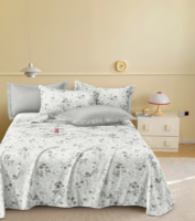 Parure de lit 4 pièces en tissu rustique de chanvre tissé, résistante aux odeurs, pour usage hôtelier et gîtes