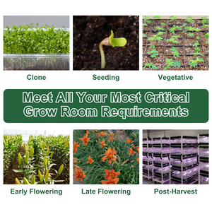 Sistema HVAC Altaqua para Cultivo Vertical, Hidroponía e Invernaderos - Product Image 3