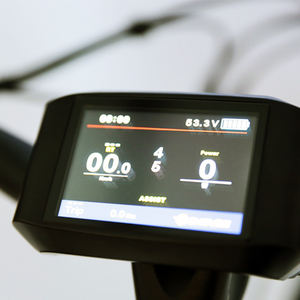 Batteria 36v mozzo posteriore motore personalizzato uomo donna adulto città E <span class=keywords><strong>bici</strong></span> bicicleta electrica <span class=keywords><strong>28</strong></span> pollici europa alluminio <span class=keywords><strong>bici</strong></span> elettrica da città - Product Image 3