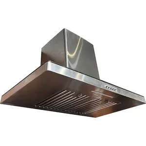 Desain baru dipasang di dinding smart range hood Eropa stainless steel auto clean range cooker hood