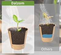 3.1 Pots de tourbe avec étiquettes végétales biodégradables pour semis avec trous de drainage Pots de pépinière de plantes de jardin Plateaux de départ de semences