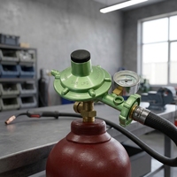 Régulateur de gaz avec manomètre pour bouteille GPL, corps en laiton