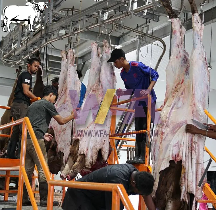 Anahtar teslimi proje lal sığır mezbaha ekipmanları Abattoir makinesi için havai et asılı raylar sistemi